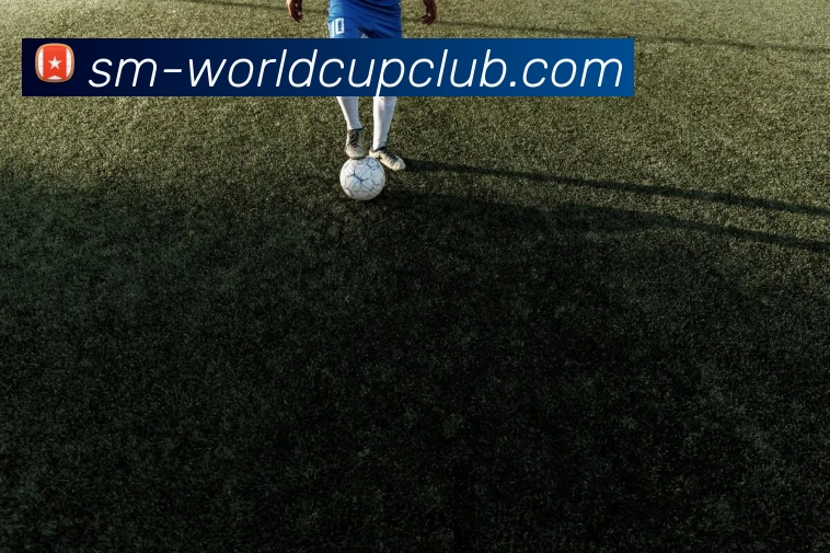 体育赛事信息发展历程